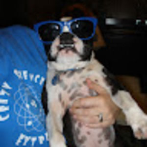 Meet your Posher, Leanne